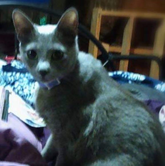 Meet your Posher, Michelle - Picture 7 of 8